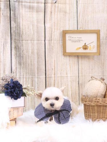 20241004じゅのんくん